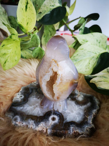 Agate Druzi Penguin (High Quality) CrystaLandnz