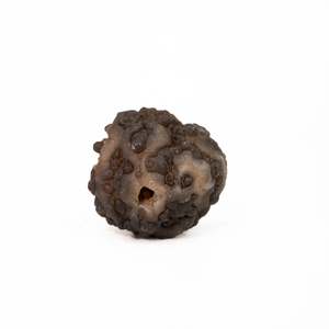 Chalcedony: Chalcedony Nodule "Geode"