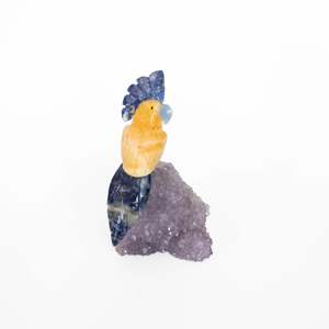 Calcite Parrot on Druze