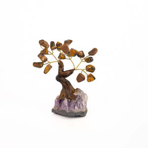 Trees: Tigers Eye Tree
