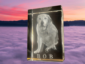 Pets, Anniversary or Memorials 3D Rectangle Shaped Crystal - several sizes and s&hellip;