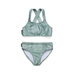 Bikini Jade Monstera