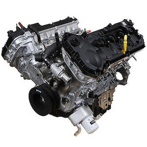 Engines: 2018-21 MUSTANG 5.0L COYOTE LONG BLOCK