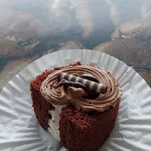 Petit Love: Petit Love - Mini Chocolate Cream Roll 迷你巧克力奶油卷