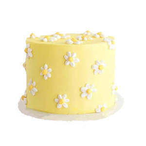 Little Daisy 小菊花蛋糕