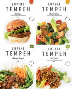 Products: Lupine Tempeh - 4x Flavours Tempeh Deli