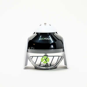 Ecoheads: ECOHEADS The Ping X