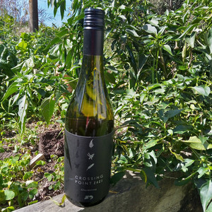 Products: Takapoto Estate Crossing point Chardonnay 2021 Mysite