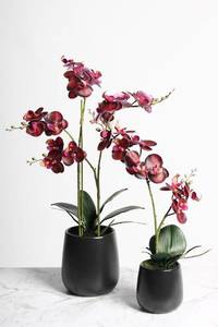 Artificial Plant - Phalaenopsis Orchid Red S
