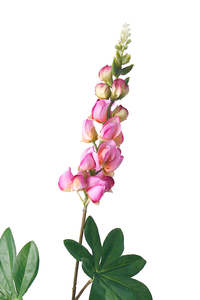 Artificial Flower - Lupin Spray Pink