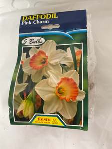 Garden: Bulb - DAFFODIL - Pink Charm