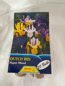 Garden: Bulb - DUTCH IRIS -  Super MIx  PK20
