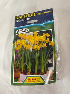 Garden: Bulb - DAFFODIL - Tete-a-Tete 5