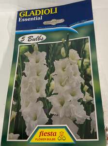 Garden: Bulb - Gladioli - Essential