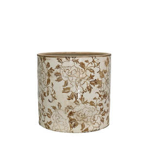 Indoor Plants: Planter - Woodland - Spice 17cm