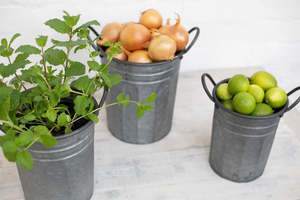Garden Art: Iron Metal Garden Pails