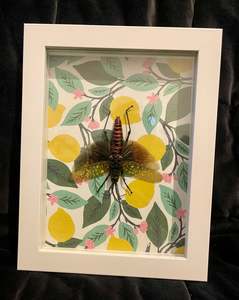 Taxidermy: Hopper on Lemons - Taxidermy