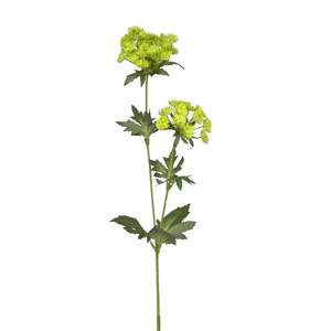 Artificial Flowers And Plants: Artificial Flower - Queen Annes Lace - Green