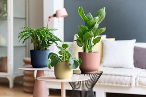 Planters: Planter -  Vibes Cover Pot