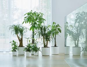 Planters: Planter -  B for Soft Cover