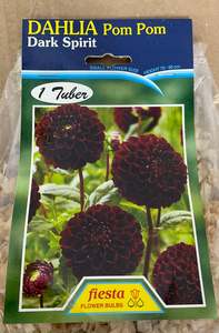 Garden 1: Dahlia Tuber - Dark Spirit