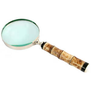 Gift: MAGNIFIER GLASS NICKEL