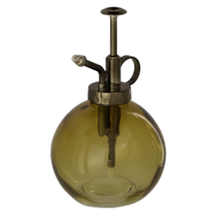 Indoor Plants: Mister - Golden Orb