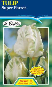 Garden: Bulb - TULIP - Super Parrot