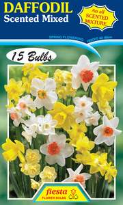 Garden: Bulb - DAFFODIL - Scented Mix P15