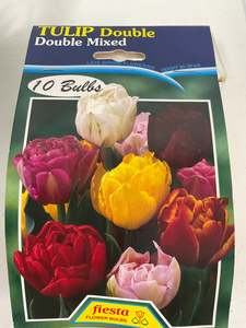 Garden: Bulb - TULIP - Double Mixed 10