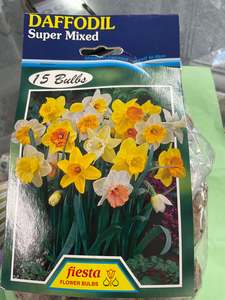Bulb - DAFFODIL - Mixed - PK15
