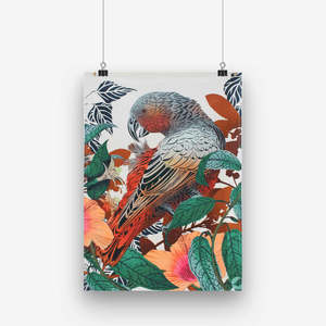 Tea Towel - Kaka and Tree Fuchsia