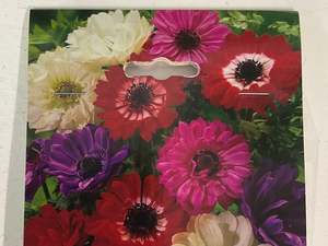 Bulb - ANEMONE - St Brigid Mix 20