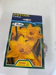 Bulb - DAFFODIL - Carlton