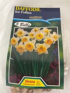 Bulb - DAFFODIL - Ice Follies