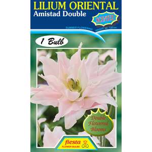 Gift: Lily - Amistad