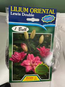 Gift: Lily - Lewis Double