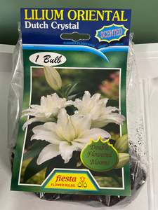Earth And Blooms: Lily - Double Dutch Crystal