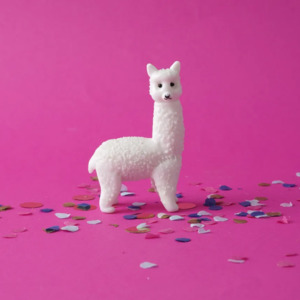 Glass Animal - Alpeaca