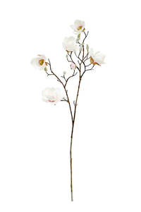 Gift: Artificial Noble Magnolia - White/Pink