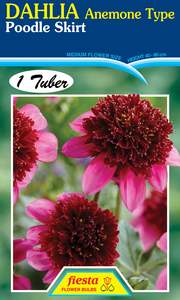 Gift: Dahlia Tuber - Poodle Skirt