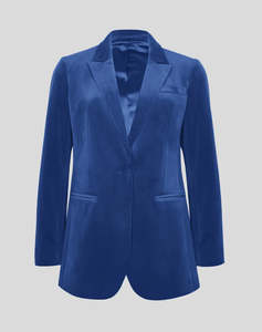 Standout Velvet Blazer