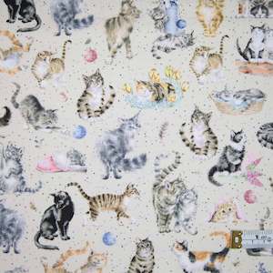 Cats: Whiskers & Paws - Kittens and Cats - Beige