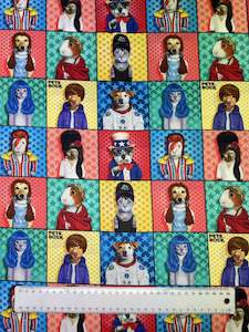 Animals: Pets Rock - Blocks