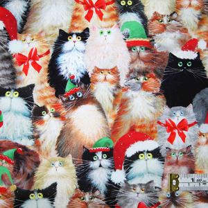 Cats: Meowy Christmas