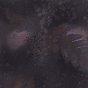 Fossil Fern - Bitter Chocolate