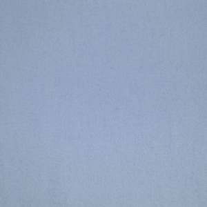 Cotton: Wincyette - Blue