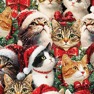 Merry Cats - Portraits