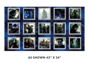 Harry Potter - Wizarding Boxes Panel