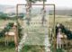 CLASSIC TRANSPARENT WEDDING SIGN Custom Cake Toppers